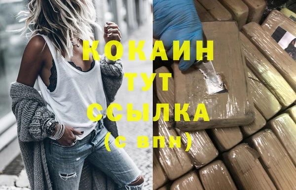 индика Горнозаводск