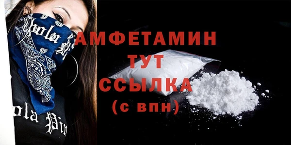 индика Горнозаводск