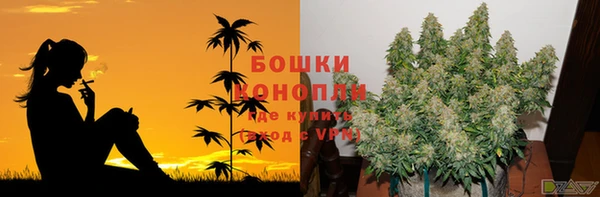 крисы Михайловка
