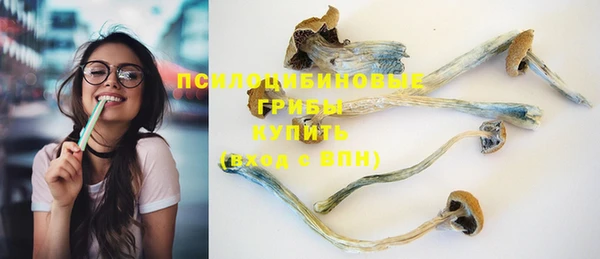 эйфоретик Горняк