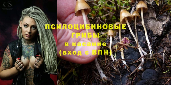 apvp Горно-Алтайск