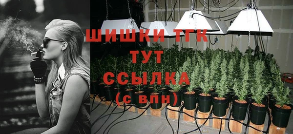 индика Горнозаводск