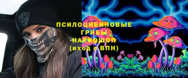спайс Мегион