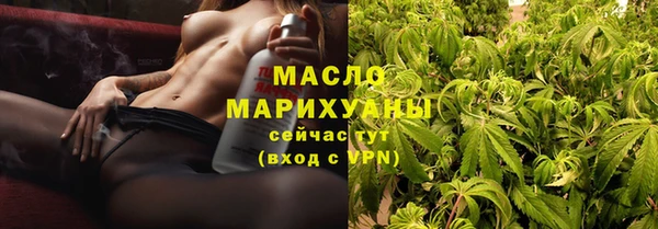 дмт Медногорск