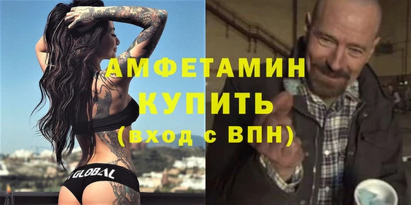 индика Горнозаводск