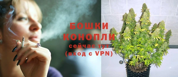 индика Горнозаводск
