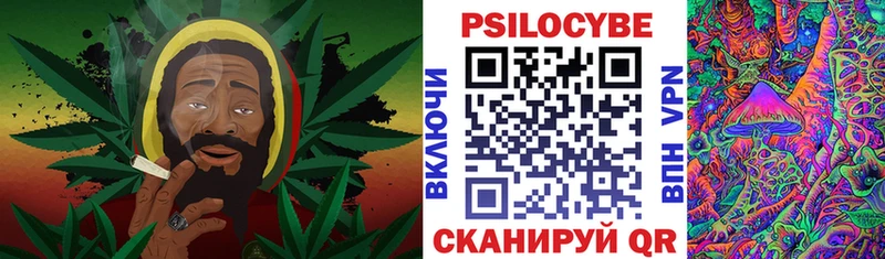 Галлюциногенные грибы Psilocybe  Истра 